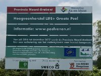 NL, Limburg, Nederweert, Groote Peel 32, Saxifraga-Jan van der Straaten